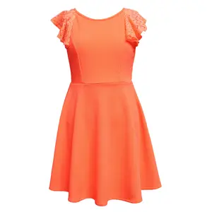 Lace Sleeve Skater Dress