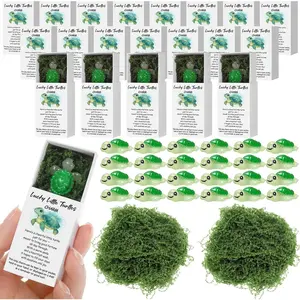 30 Sets Thank You Gifts Inspirational Turtle, Good Luck Turtles Bulk Breathing Box Teacher Appreciation Favors for Mom Nurse Coworker Employee Graduation Motivational Gifts
