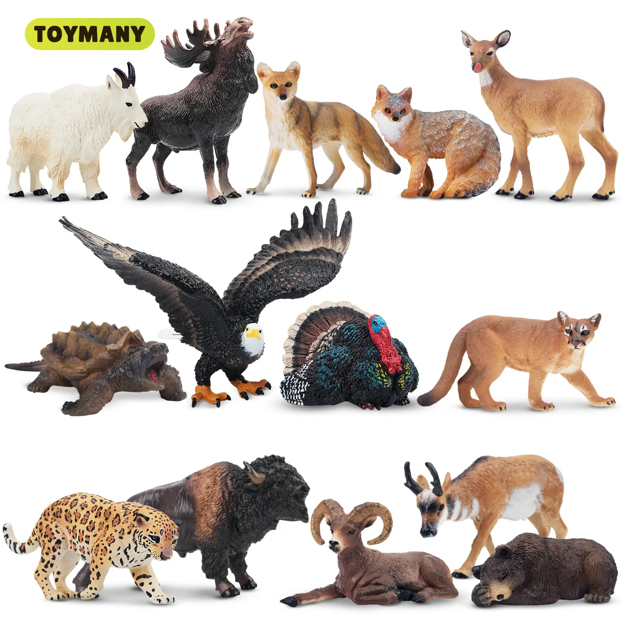 TOYMANY 14pcs North American Forest Animal PVC Action Figurines Set - Realistic Wildlife Figures (Elk, Pronghorn, Jaguar, Gray Fox), Decorative Educational Toy, Kids' Gift Ideas for Birthday & Christmas, Pvc Figure, Action Figures