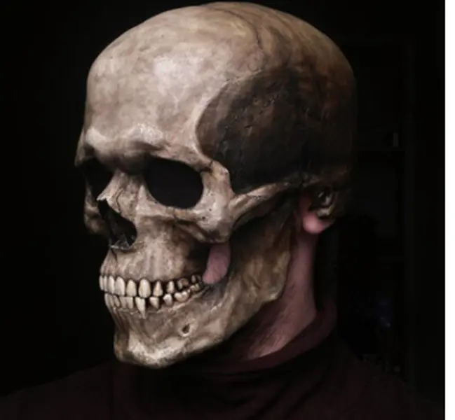Skull Mask - I am Ghost Rider Halloween Costume Accessory Realistic Design for Party Events