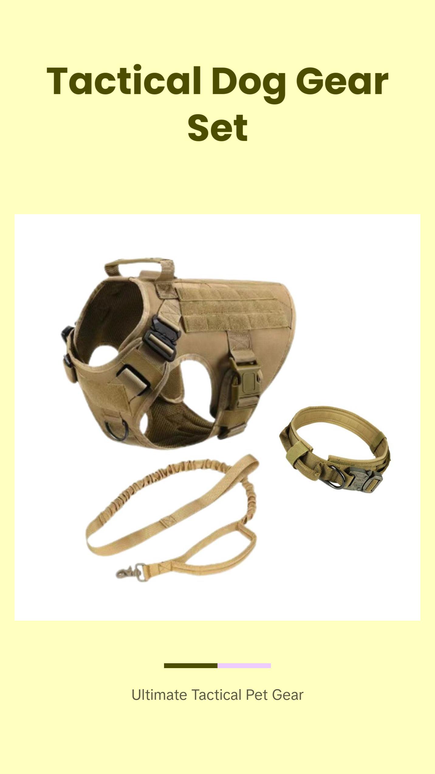 Tactical Dog Gear Set - Military-Grade Harness, Collar & Leash