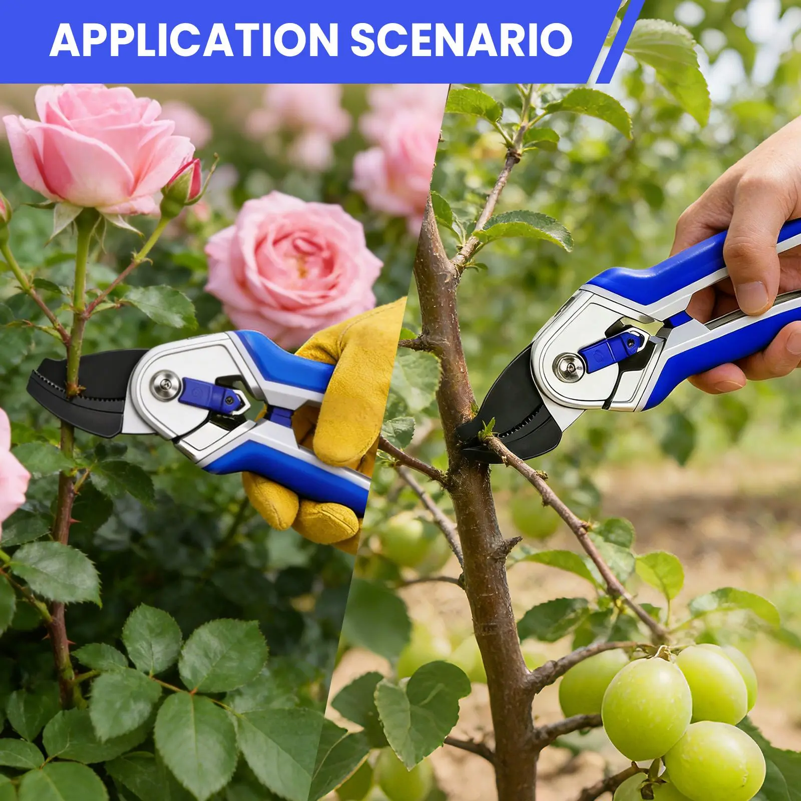 Professional Garden Pruning Shears Set - Stainless Steel Blades, Ergonomic Comfort Grip, Heavy-Duty Garden Cutting Tool, Pruners for Plant Lovers and Daily Tasks, Pruners For Gardening