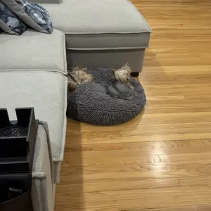 Muddy Mat Cloud K-9 Chenille Pet Bed - Round