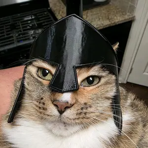 3D Spartan Cat Helmet, Funny Spartan Cat Helmet