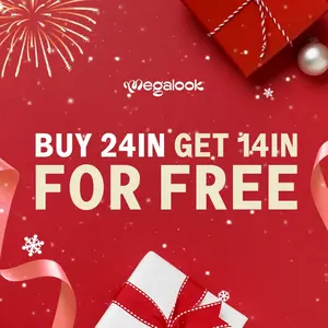 [Buy One Get Two] Live Sale Megalook 13x6 Glueless Full Texture Natural Black/Cholocate Brown Colored Lace Frontal Wig 180% Density Beginner Friendly