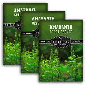 Green Garnet Amaranth Seeds - Mexican Grain Vegetable Survival Garden