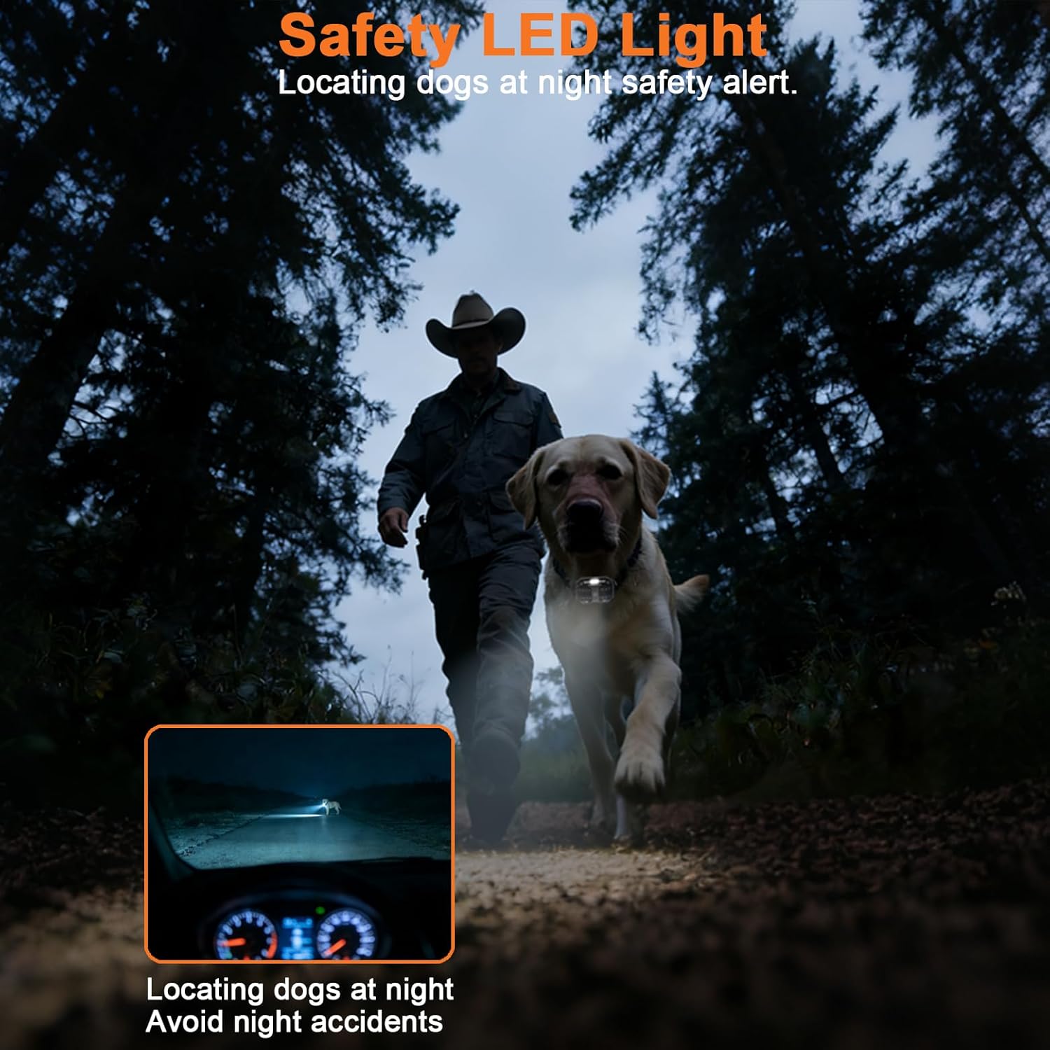 Dog Training Collar with Remote 800M Range, Beep Vibration Safe Shock Waterproof Rechargeable