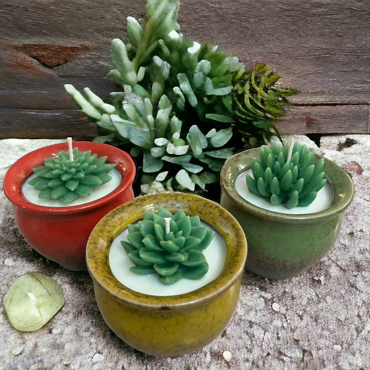 Succulent Candle