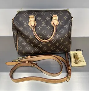 Pre-owned Louis Vuitton canvas Crossbody Bags speedy 25 crossbody