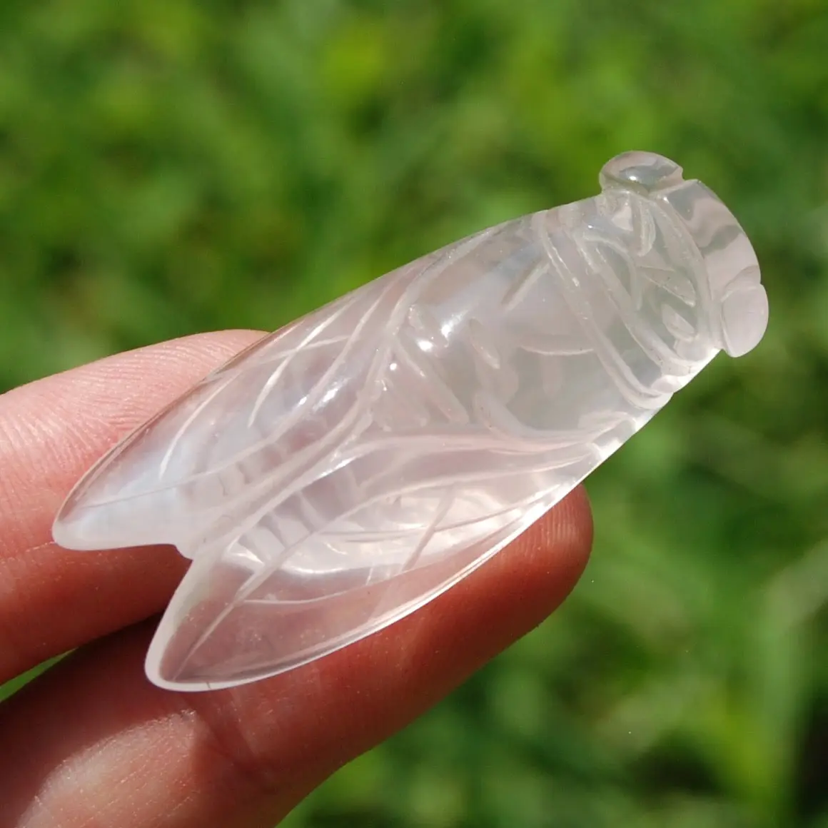 1.7" GEM Rose Quartz Crystal Cicada, Brazil f13