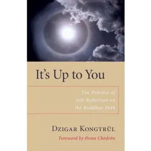 USED-It's Up to You: The Practice of Self-Reflection on the Buddhist Path by Dzigar Kongtrul (Hardcover)