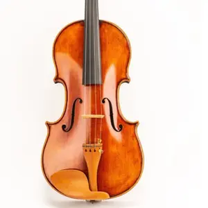 D Z Strad Viola - Model 300 - Viola Outfit With Extra Bow