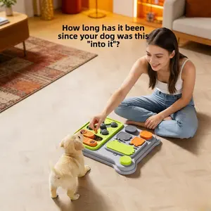 Pet Slow Feeder Interactive Bowl for Dogs & Cats, Anti-Choking Digestive Aid, Non-Toxic Bite Resistant, Easy Clean, Indoor Outdoor Use