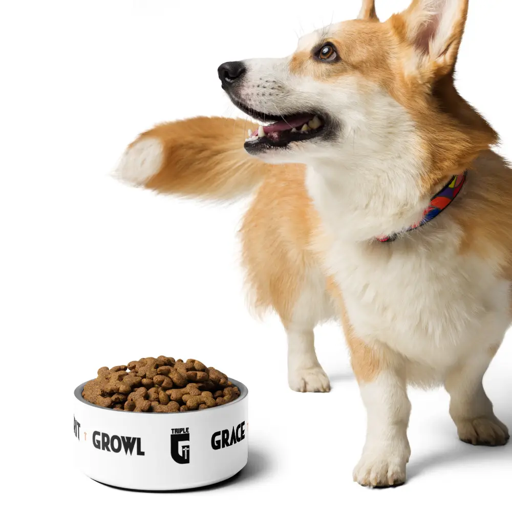 Triple G Pet bowl