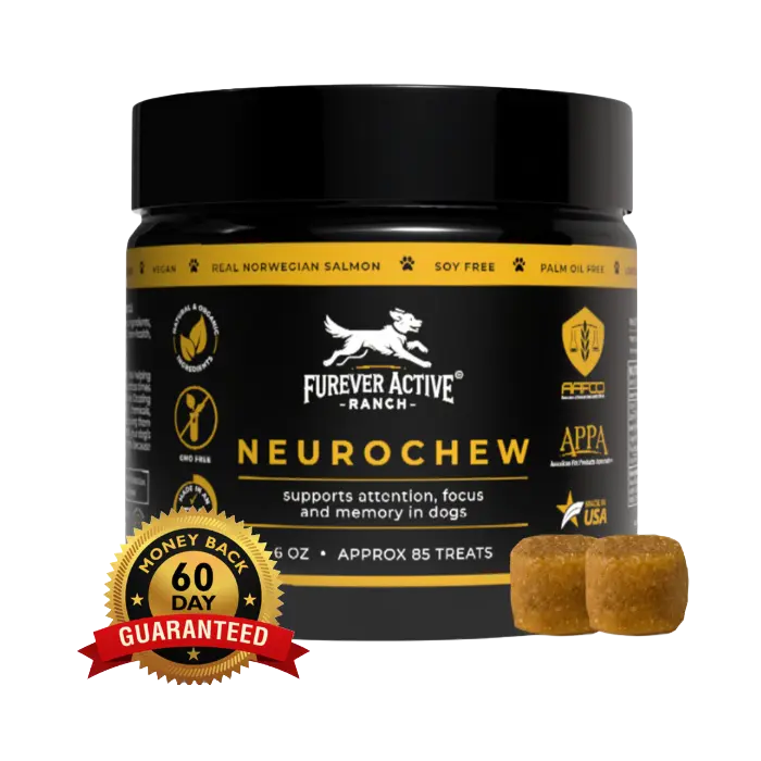 NeuroChew™: Canine Cognitive Protection Protocol (Ages 5+)
