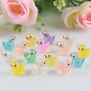 30pcs Mini Glowing Duck Resin Decorations Figurines, Handmade Holiday Party Gifts, Birthday Home Garden Decorative Ornaments, Random Colors