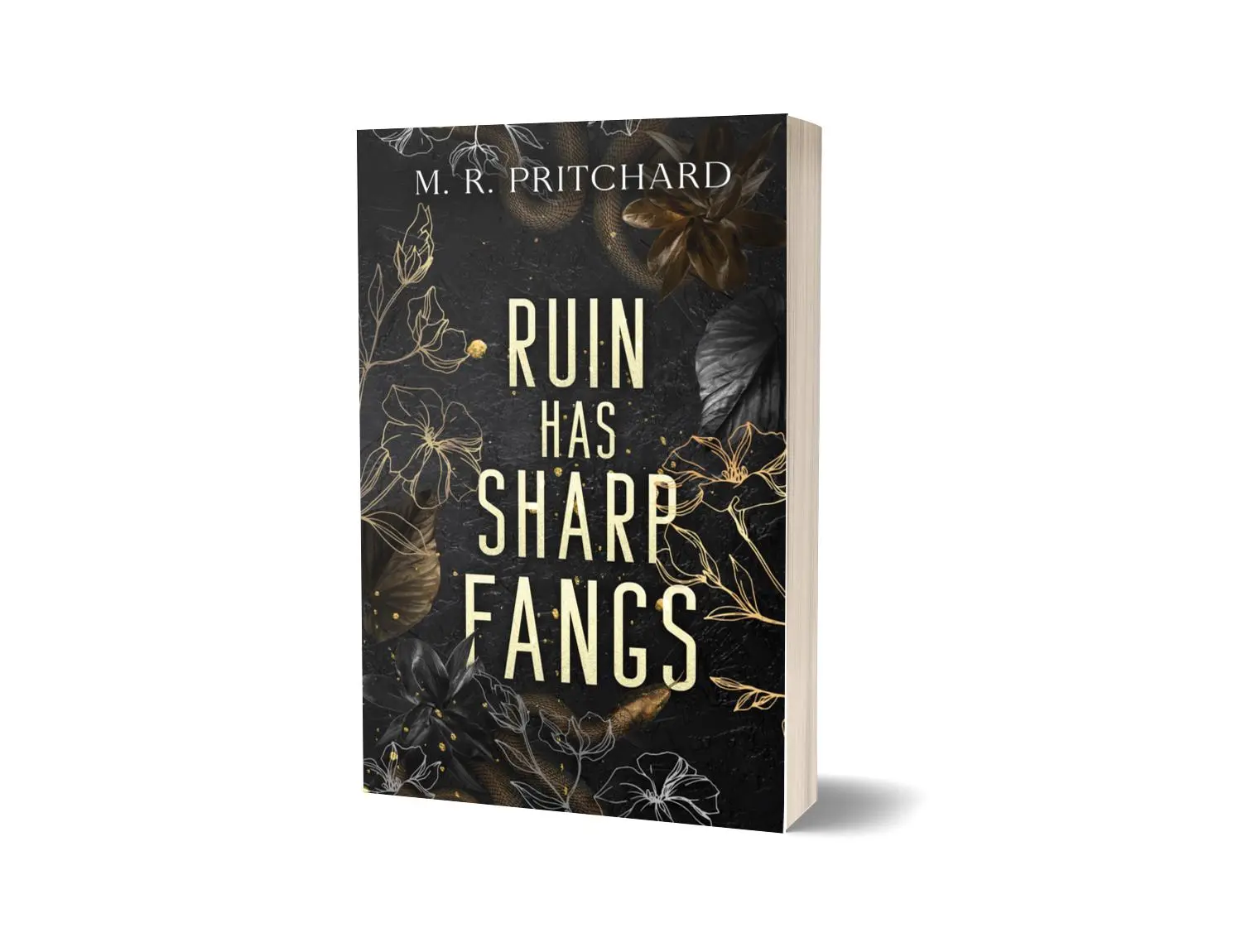 Ruin has Sharp Fangs by M. R. Pritchard dark fantasy paranormal romance standalone novel Paperback Special Edition Deluxe Book Bundle