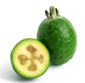 Pineapple Guava Live Plant – Hardy Fruit Tree for Garden and Landscape 4 to 6 Inches Tall