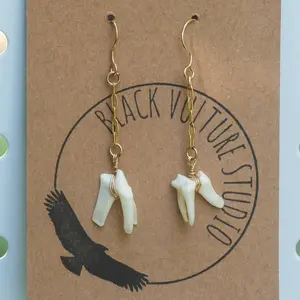 Real Coyote Puppy Teeth Witchy Aesthetic Curiosities and Oddities Gold Dangle Goth Earrings