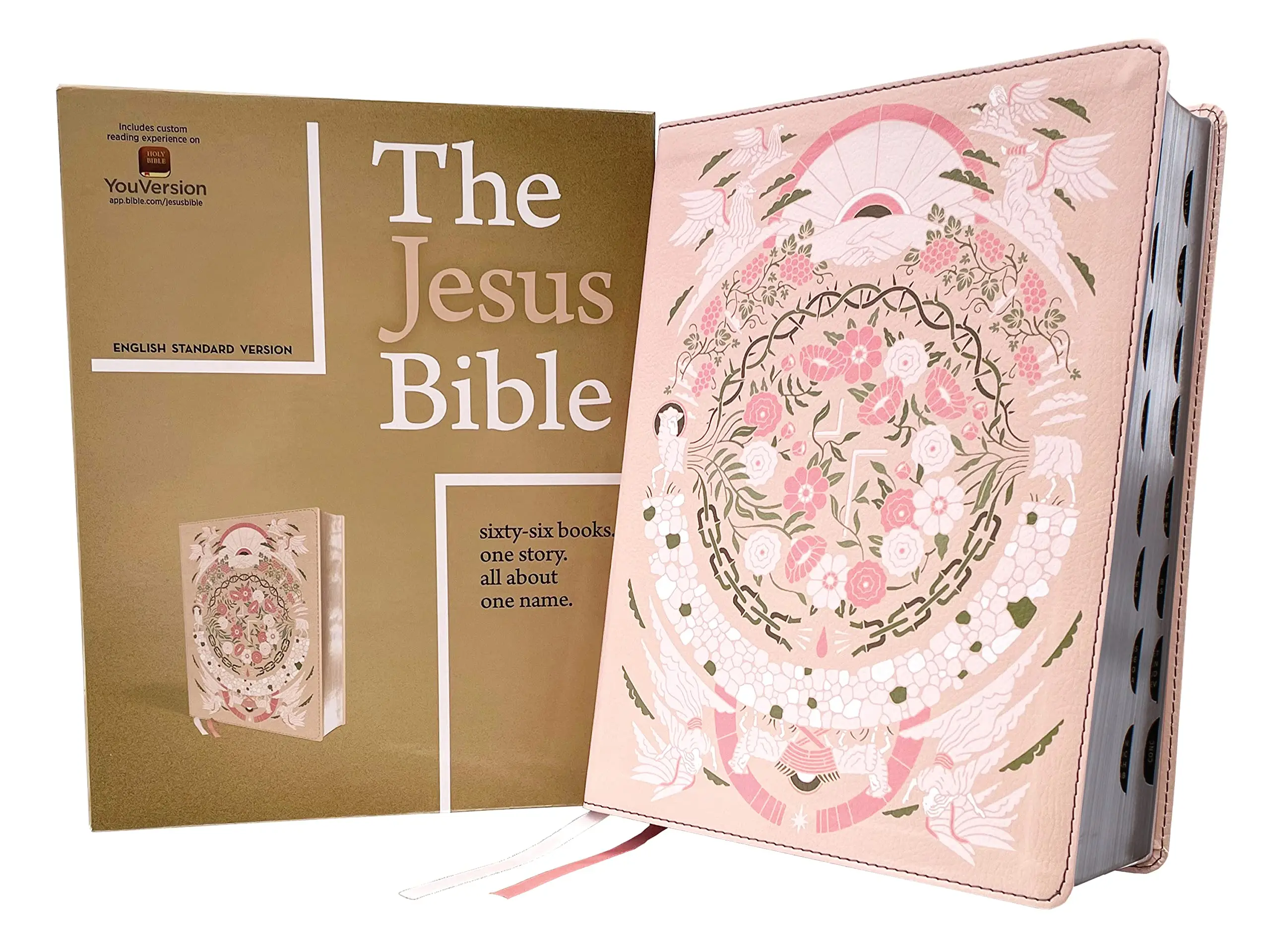 The Jesus Bible Artist Edition, ESV