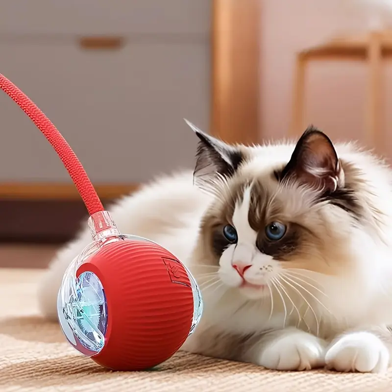 2pc- interactive cat toy ball, intelligent mobile electric cat toy rolling ball, suitable for indoor exercise of large, medium and small cats, USB rechargeable, cat toy ball with tail rope sale