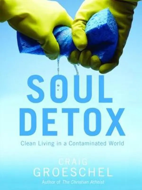 USED-Soul Detox: Clean Living in a Contaminated World by Groeschel, Craig (Paperback)