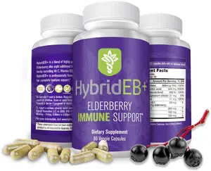 HybridEB+ Elderberry Immune Support - 60 Veggie Caps Natural Dietary Supplement