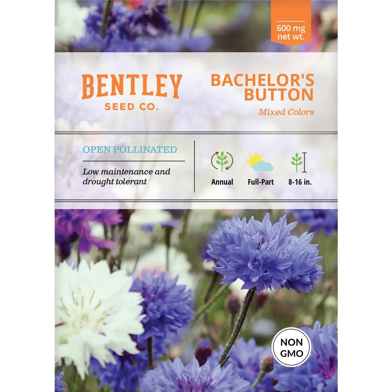 Bachelor's Button Cornflower Seed Packets - Centaurea Cyanus Annual Outdoor Flower Seeds, Drought-Tolerant Low-Maintenance Full-Sun Border Plant, Cut & Dried Garden Supplies
