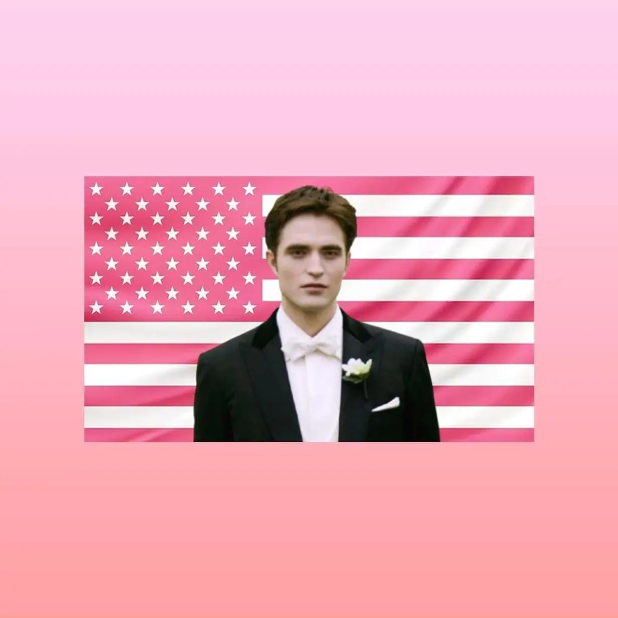 Edward Cullen Pink American Flag Tapestry – Twilight Wall Art Decor | Vampire Romance Fan Flag | Aesthetic Pink Bedroom Decor