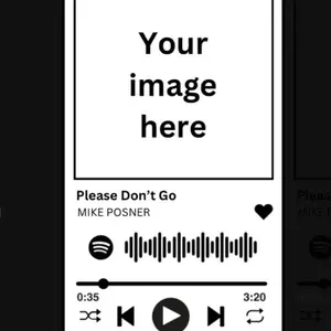 Spotify picture key chain