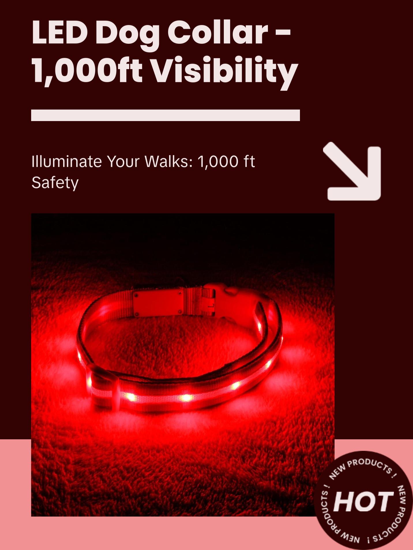 BLAZIN Brightest Light up Dog Collars - the Original LED Dog Collar with 1,000 Feet of Visibility - USB Rechargeable Waterproof Dog Collar Light - Dog Lights for Night Walking - USA Brand Blazin