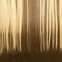 BALAYAGELIGHTASHBLONDE