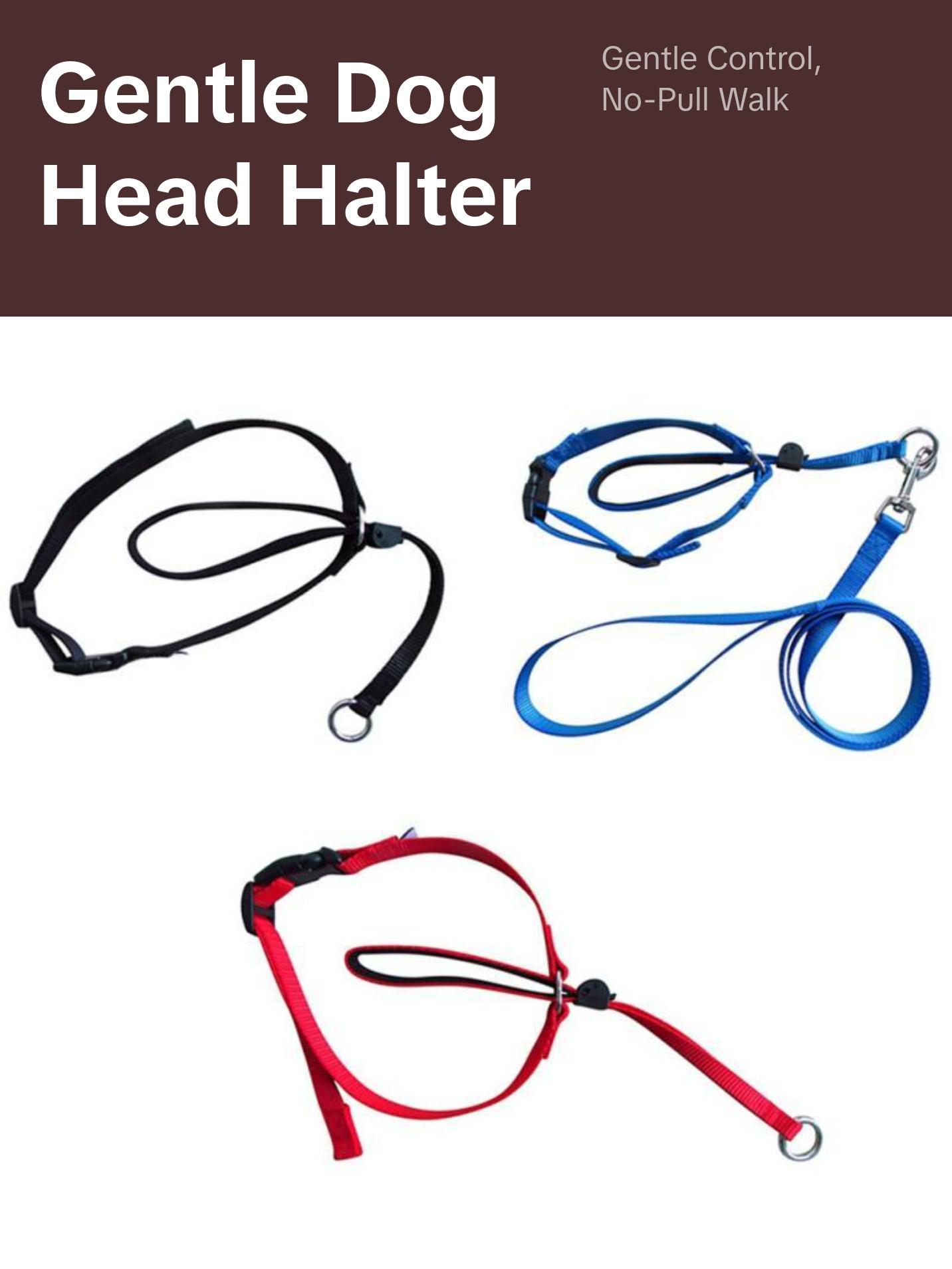 Pet Dog Head Collar Gentle Control Leash Leader Stop Pulling Training Tool No-Pull Painless Head Leash Collar Pet Products