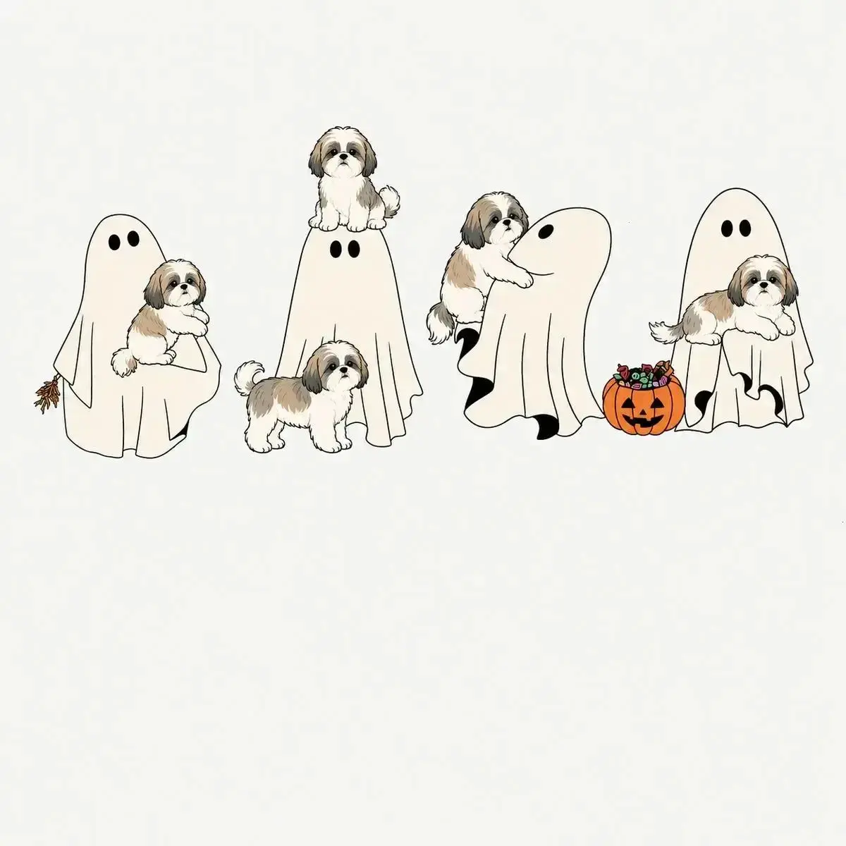 Shih Tzu