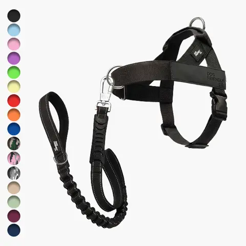 Dog Friendly Co. Signature Kit - 3-Piece No Pull Walk Set with Harness, Front D-Ring and 47in Leash - Choke-Free, Fits XXS-XL