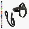 Dog Friendly Co. Signature Kit - 3-Piece No Pull Walk Set with Harness, Front D-Ring and 47in Leash - Choke-Free, Fits XXS-XL