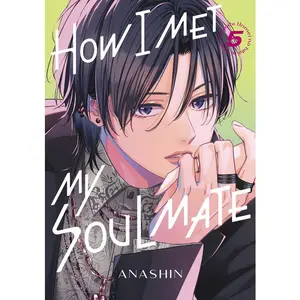 How I Met My Soulmate 5 -- Anashin - Paperback