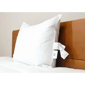 Pacific Coast® Natural Feather Pillow