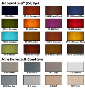 Ten Second Color Acetone Based Stain