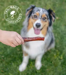 6" USA-Made Regular Bully Sticks