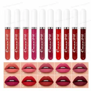 10Pcs Creamy Matte Liquid Lipstick Long Lasting Glossy Makeup Waterproof Transferproof Non Drying Highly Pigmented Lipgloss Suitable Beginners Cosmetics DealsForYouDays