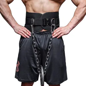 Quick Locking Dip Belt, Weightlifting Belt, Weight Lifting Belts for Men Women Heavy Duty Dipping Powerlifting Belt with Chain 40 inchs