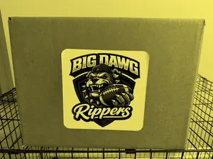 BIG DAWG SINGLE MYSTERY HELMET BOX