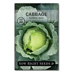 Golden Acre Cabbage Seeds