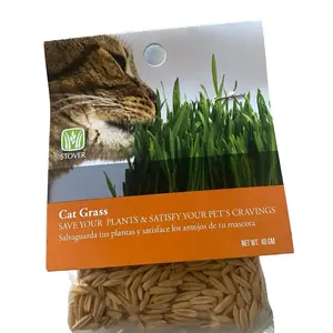 Cat Grass seeds