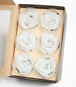White Ecuadorian Eternity Flowers Preserved Roses Pack of 6 6cm to 7cm