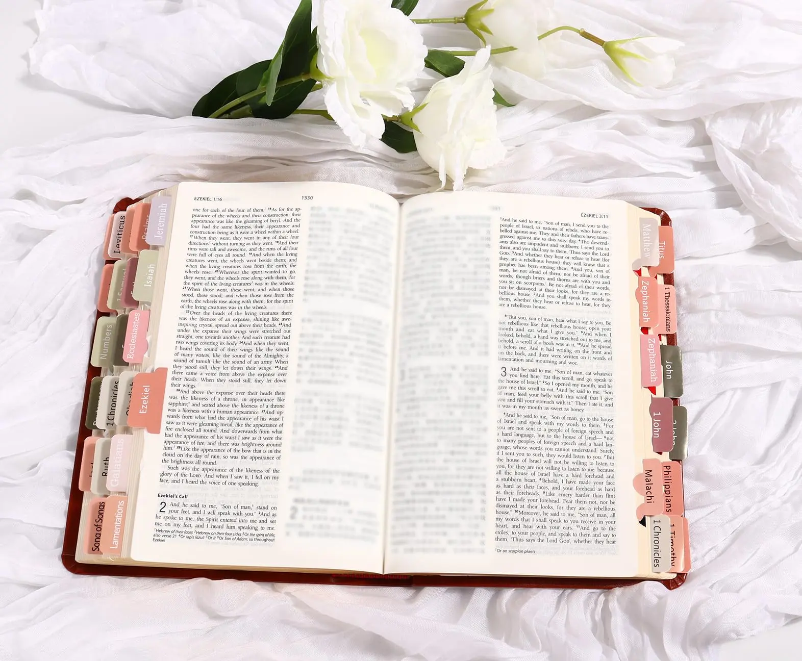 Neutral Bible Tabs - Unisex Bible Index Tags for Easy Study - TikTok Shop
