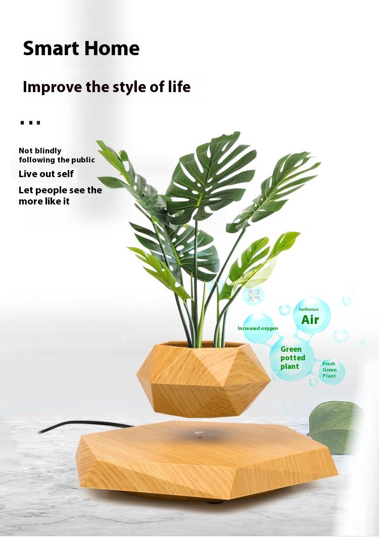 Cool Magnetic Levitating Plant Pot, 360° Rotating Floating Flower Pot with Wooden Texture Base, Unique Home & Office Desk Accessory
