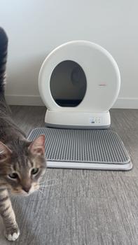 product review image from Karina Perry 7