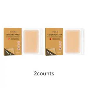 Invisible Tattoo Covering Patch, 2 Counts Waterproof Tattoo Covering Sticker, Skin Covering Patch for Tattoo & Scar & Acne, Makeup Accessories, Healthcare